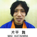 片平