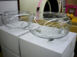 ☆人気商品　新品!!　金魚鉢入荷しました～