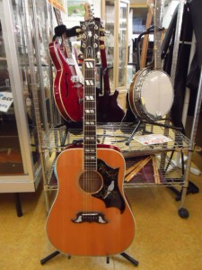 Gibson Dove/ギブソン・ダヴ アコースティックギター入荷しました♪