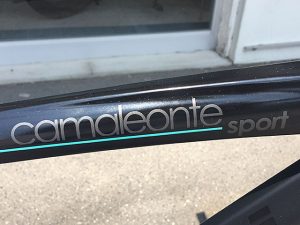 Bianchi Camaleonte5